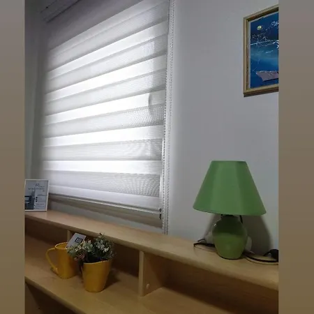 S - Dsn 크랄레보