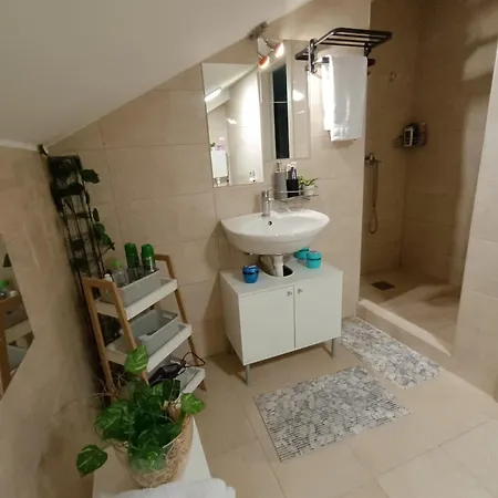 S - Dsn 크랄레보